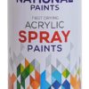 National Acrylic Spray Paint View 28