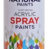 National Acrylic Spray Paint View 21