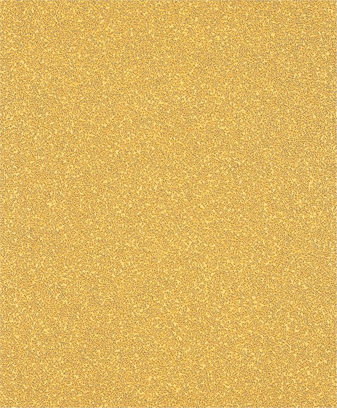 Bosch Sand Paper G120 (280X230) Per Pkt UAE