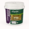 Asian Paints Berger Royale Play Italian Stucco