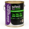 Asian Paints Berger 3.6L Select All In One Enamel - Matt Black