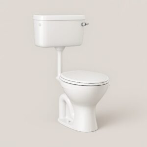 Buy Milano Glory S-Trap Water Closet -140500100600 online in UAE