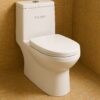 Milano Spice One Piece P Trap Water Closet 140500100636 View 2