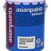 Asian Paints Berger 4L Special Value Wood Primer