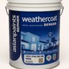 Asian Paints Berger Weather Coat Acrylic Spray Compound